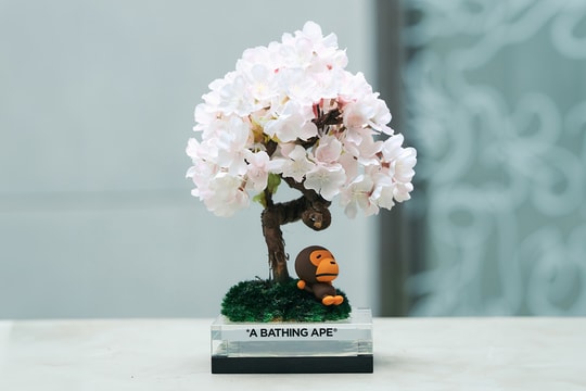 베이프 ‘베이비 마일로 사쿠라 분재’ 한정판 에디션 출시