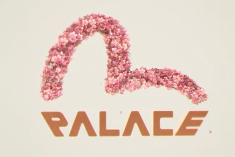 팔라스와 에비수가 협업을 예고했다