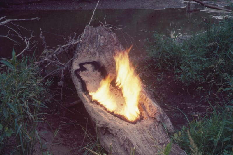 Patuloy na Nabubuhay ang Bisyonaryong Land Art ni Ana Mendieta sa Tate Modern