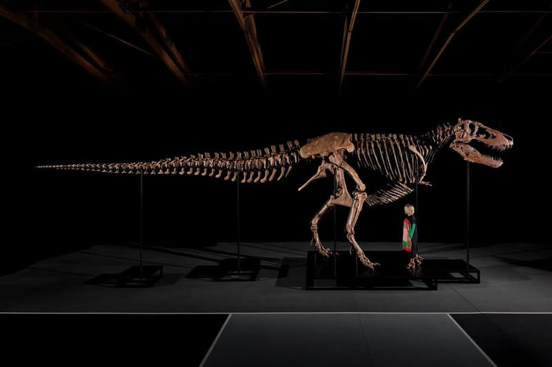 Si Gus na T-Rex Nabenta sa Rekord na $50.1 Milyon USD sa Sotheby's