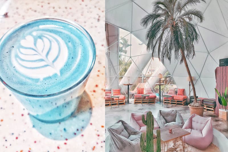 打卡新熱點 隱身台北東區的玻璃球溫室爛醉咖啡 進去就不想出來了