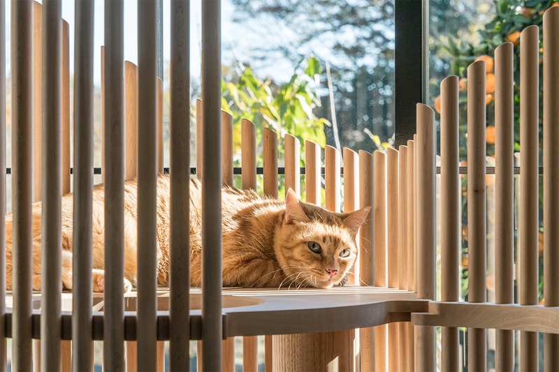 Modern Cat Tree NEKO 把藝術和實用性結合起來的貓樹架