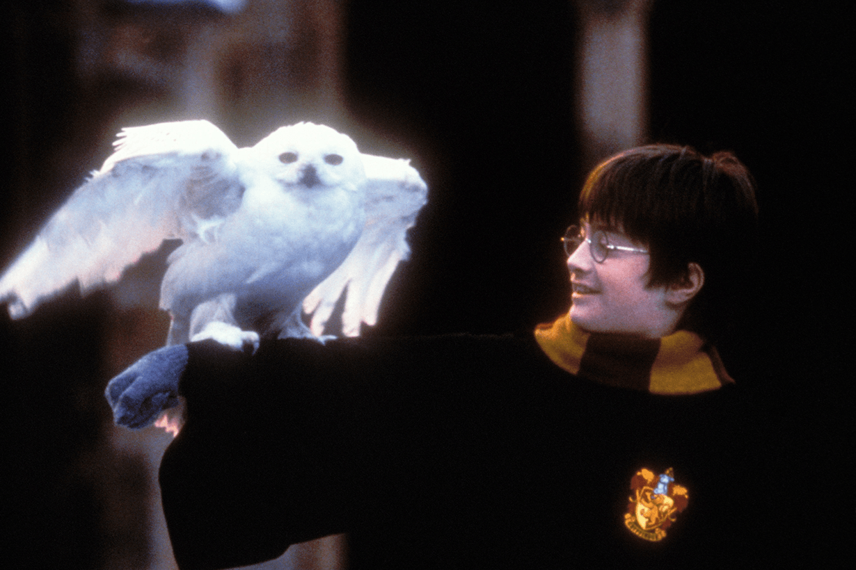 Harry Potter