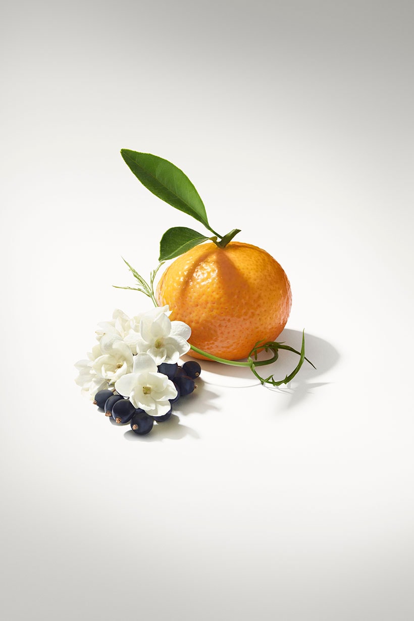 香水控看過來 Louis Vuitton 的柑橘香水 Le Jour Se Lève 絕對讓你的是日造型更有仙氣