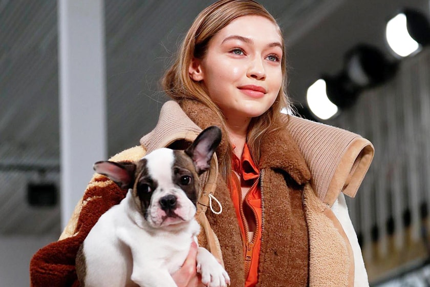 Tod's-AW2018-Dogs