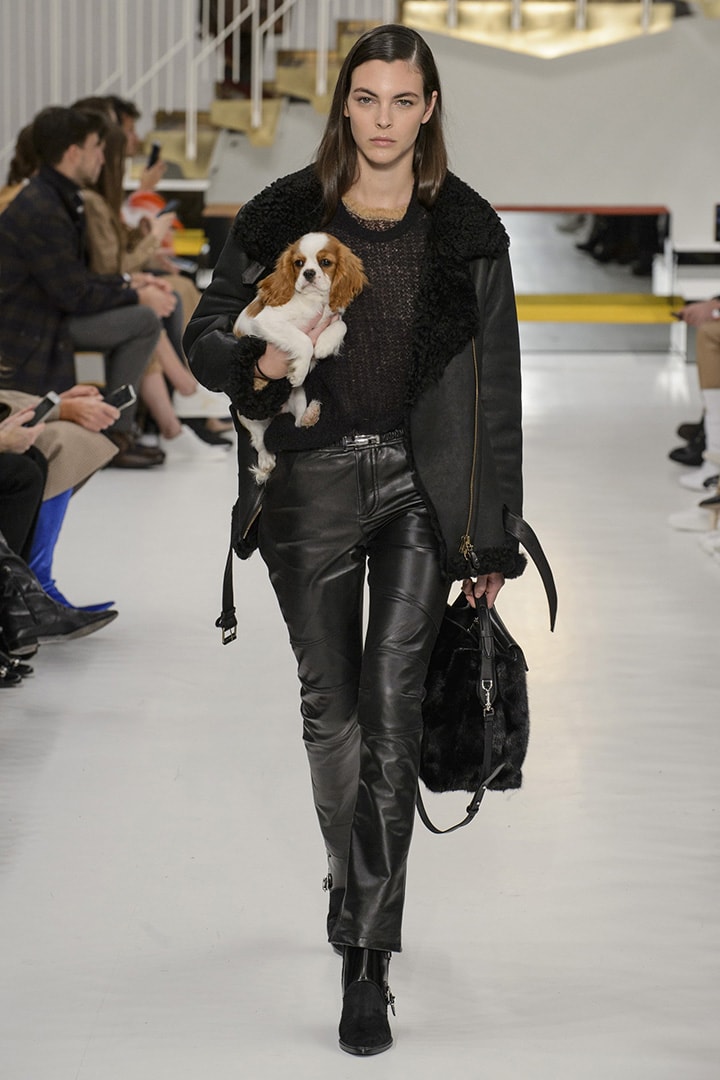 Tod's-AW2018-Dogs