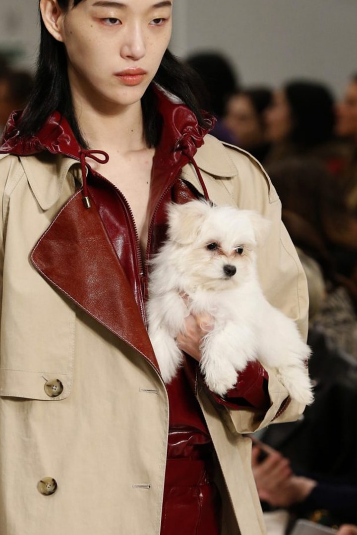 Tod's-AW2018-Dogs