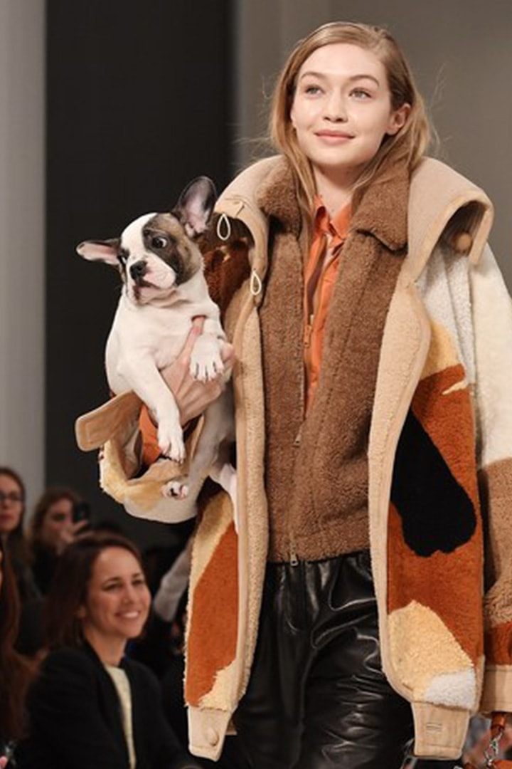 Tod's-AW2018-Dogs