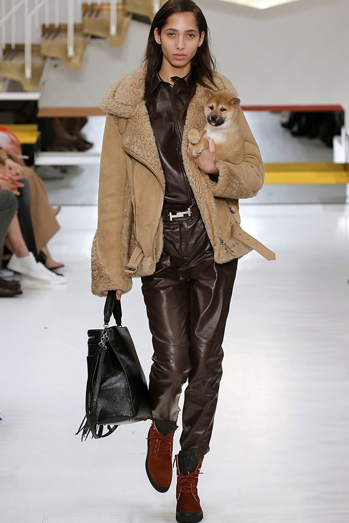 Tod's-AW2018-Dogs