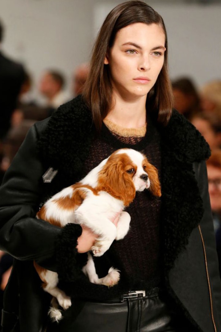 Tod's-AW2018-Dogs
