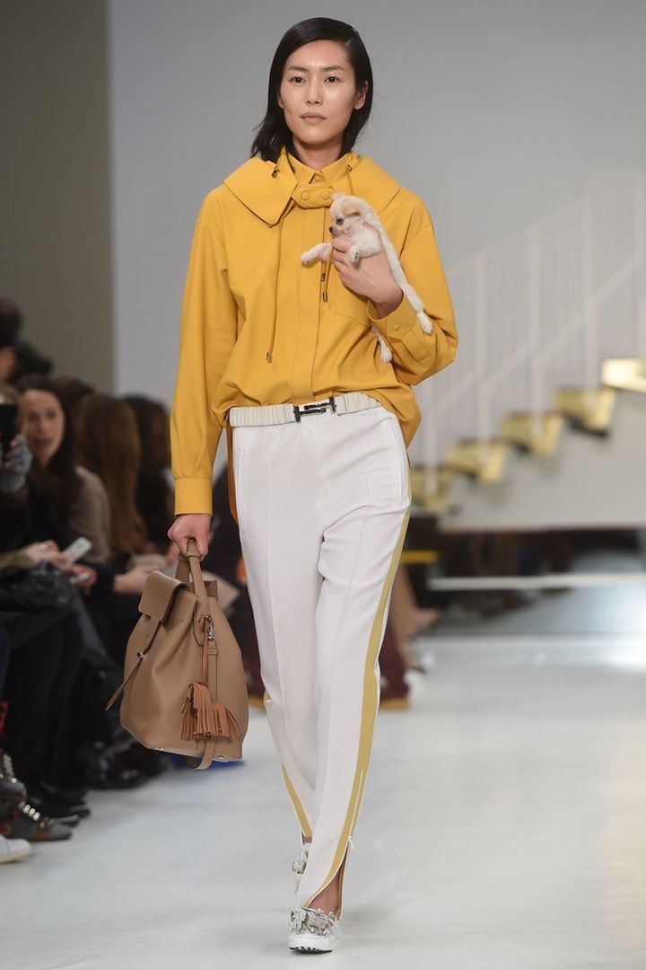 Tod's-AW2018-Dogs