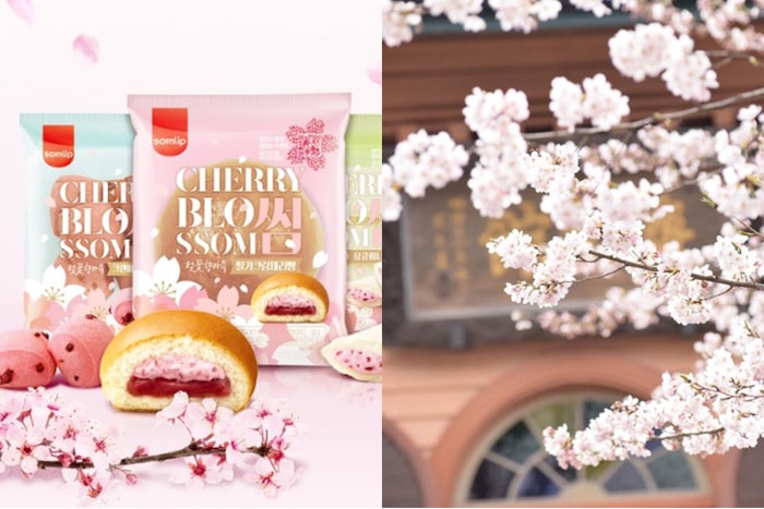 開箱！這款韓國新推出櫻花甜點，讓人有滿滿的幸福感！