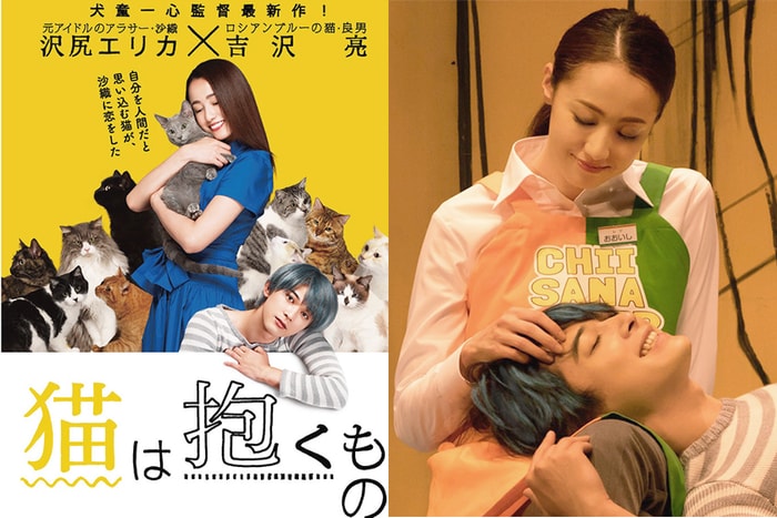 既是貓咪又是男友?!澤尻英龍華 x 吉澤亮共演療癒系電影《貓は抱くもの》