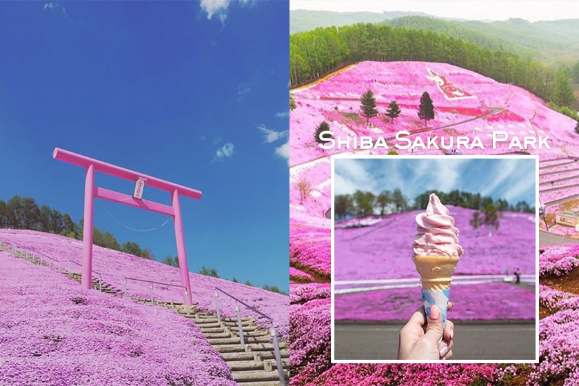 Hokkaido Shiba Sakura Park Japan Travel