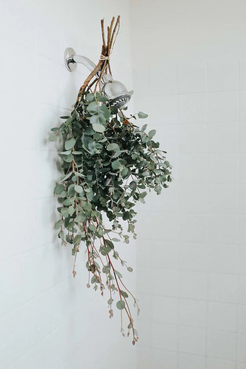 Hanging Eucalyptus in the Shower Pinterest Trending Bathing therapy DIY home Spa relaxing moment