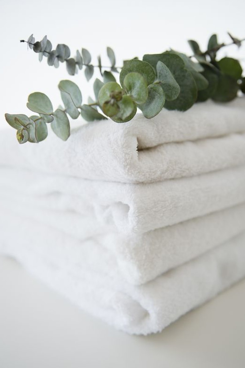 Hanging Eucalyptus in the Shower Pinterest Trending Bathing therapy DIY home Spa relaxing moment