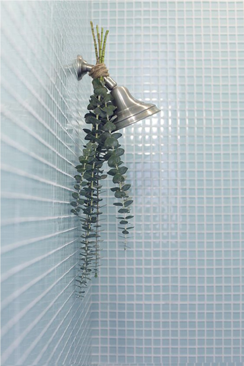 Hanging Eucalyptus in the Shower Pinterest Trending Bathing therapy DIY home Spa relaxing moment