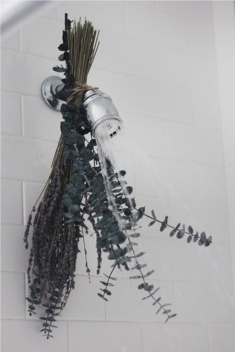 Hanging Eucalyptus in the Shower Pinterest Trending Bathing therapy DIY home Spa relaxing moment