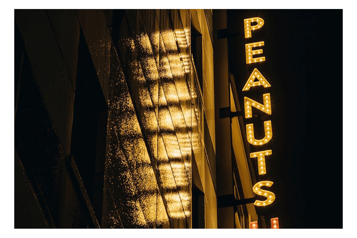PEANUTS HOTEL-3