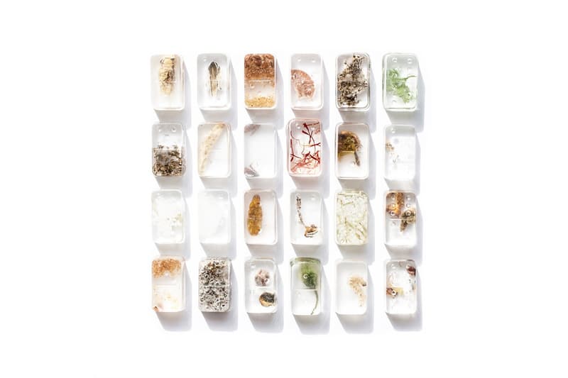 food domino