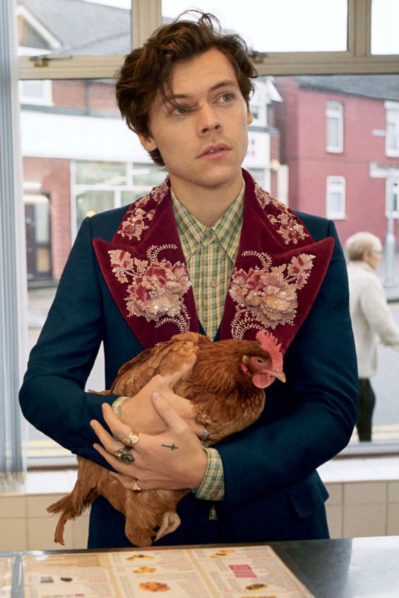 Harry Styles Gucci Campaign Fall 2018 men’s tailoring campaign