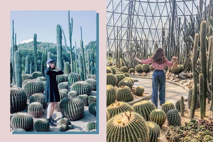 你以為是美國加州秘景嗎？近日 Instagram 上超紅的仙人掌公園，竟然位於深圳！