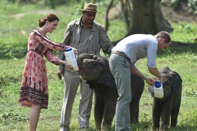 Prince William Princess Kate Africa