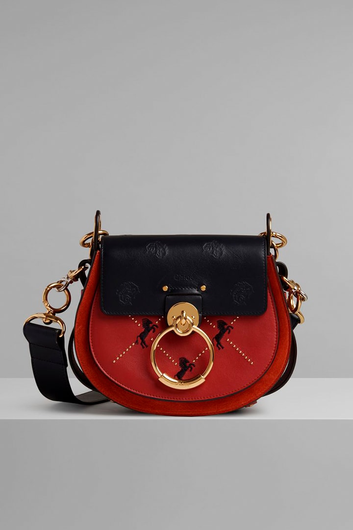 Chloé Tess Camera Bag Fall Winter Handbag