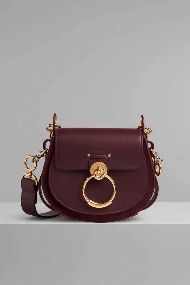 Chloé Tess Camera Bag Fall Winter Handbag