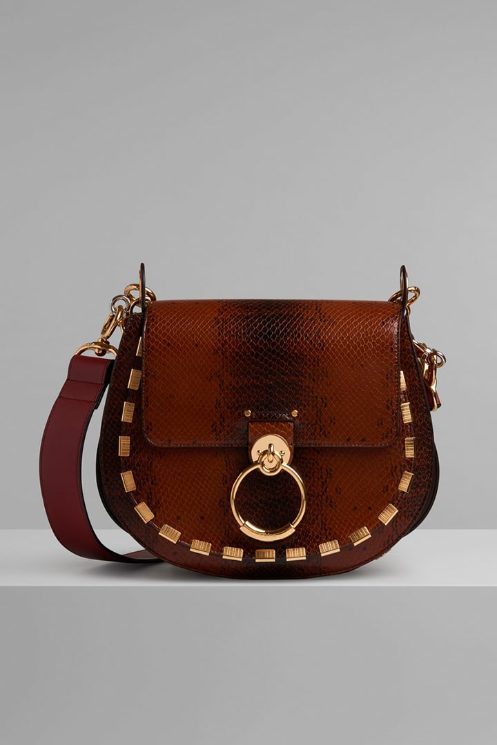Chloé Tess Camera Bag Fall Winter Handbag