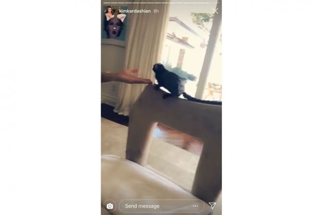 Kim Kardashian Instagram Monkey
