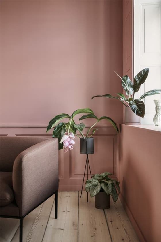 story of yanxi palace Morandi color home ins