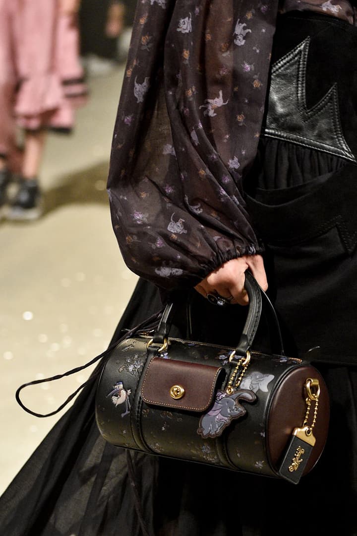 Coach X Disney Collection SS 2019