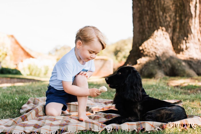 喬治王子對「牠們」產生興趣,還讓皇室一家人都陪他研究!