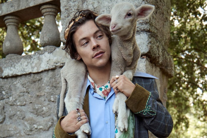 豬仔羊仔是主角?!Harry Styles 最新 Gucci 廣告出爐