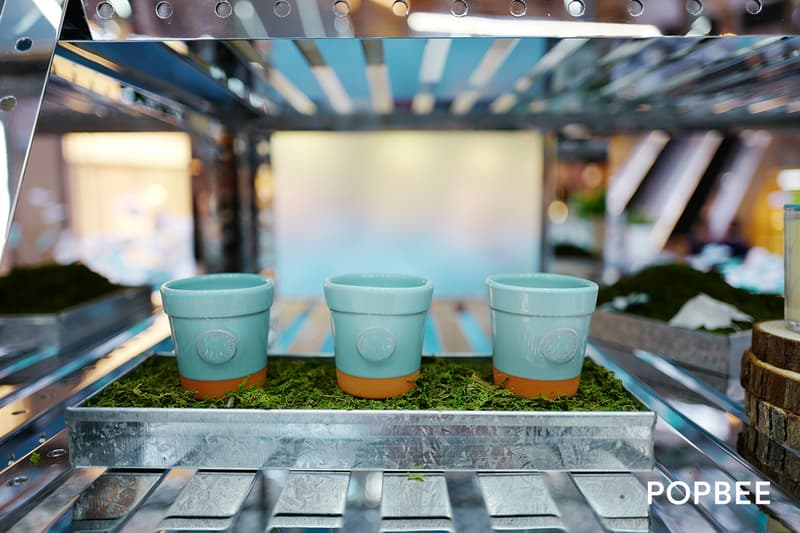 最時尚的溫室!這 Tiffany Blue 的小屋子實在太美了
