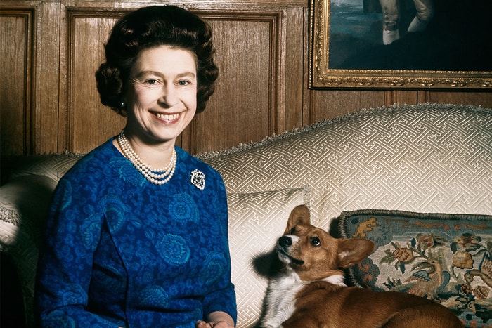 一個時代的終結：英女王的最後一隻哥基犬去世了……
