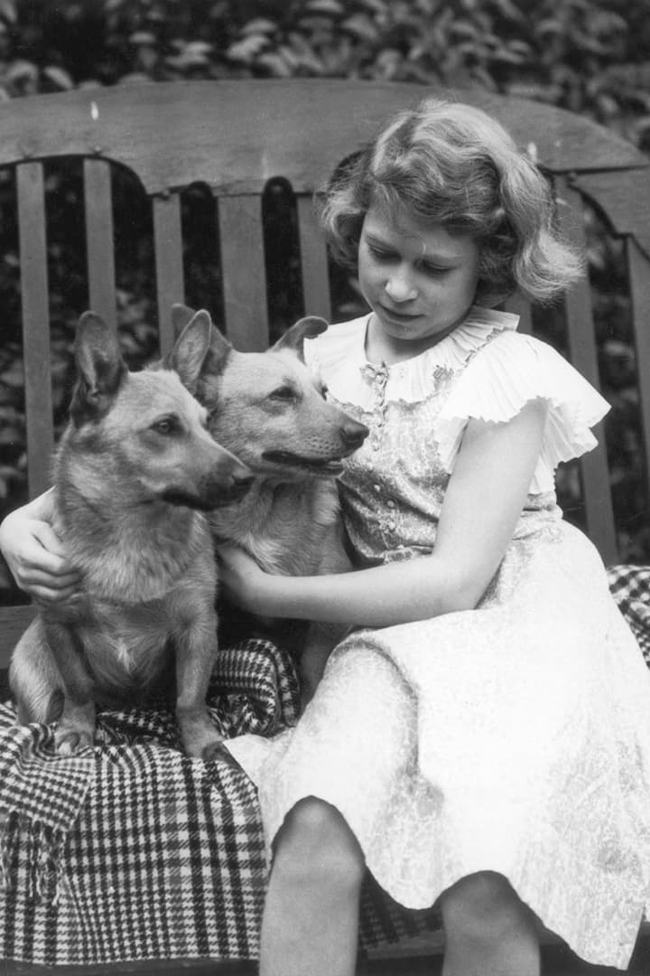 Queen Elizabeth’s Last Corgi Has Died