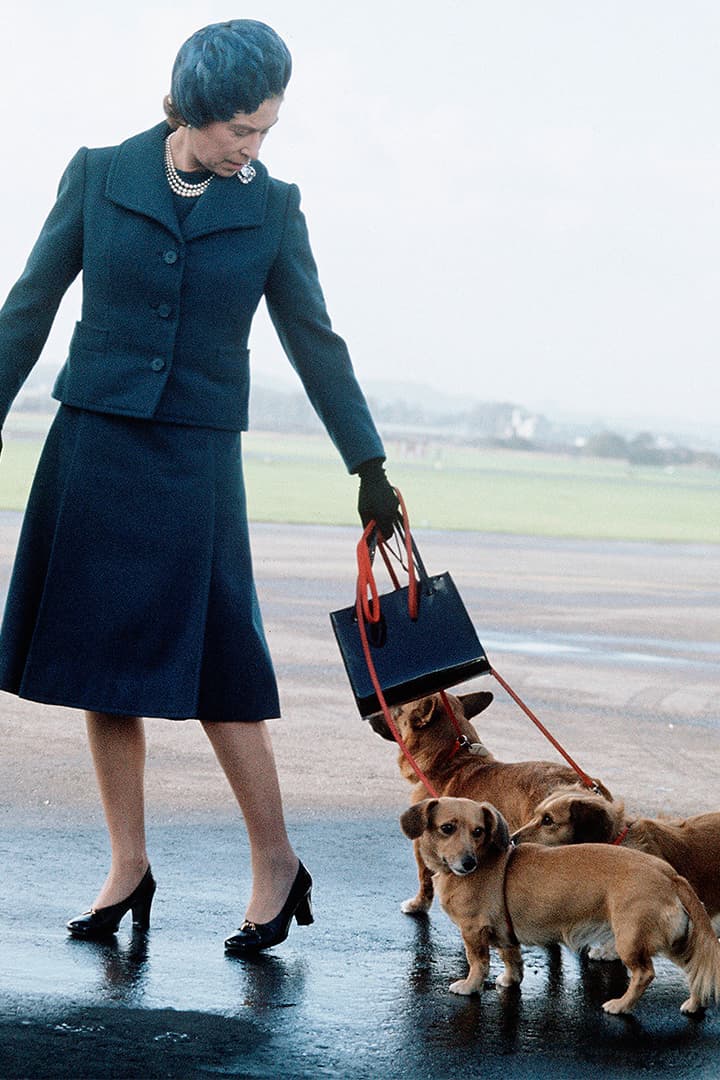 Queen Elizabeth’s Last Corgi Has Died