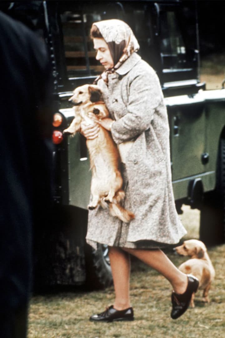 Queen Elizabeth's Last Corgi Has Died