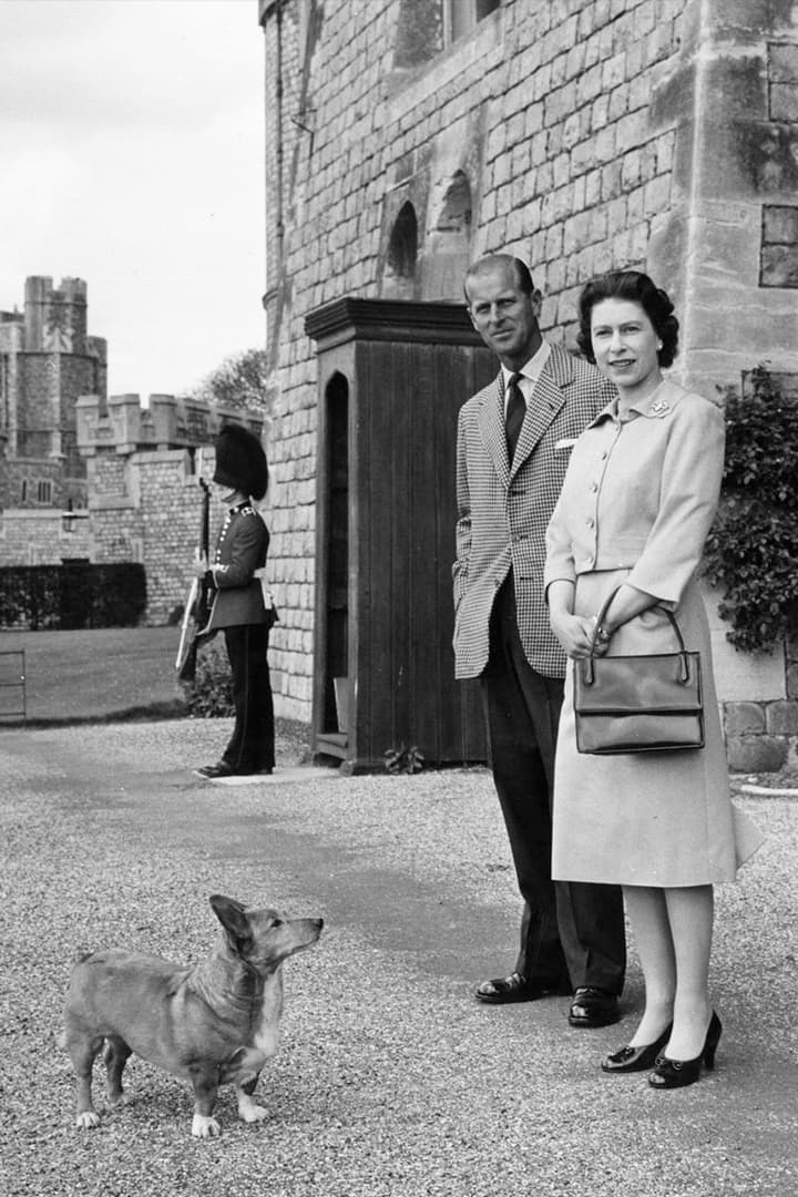 Queen Elizabeth's Last Corgi Has Died