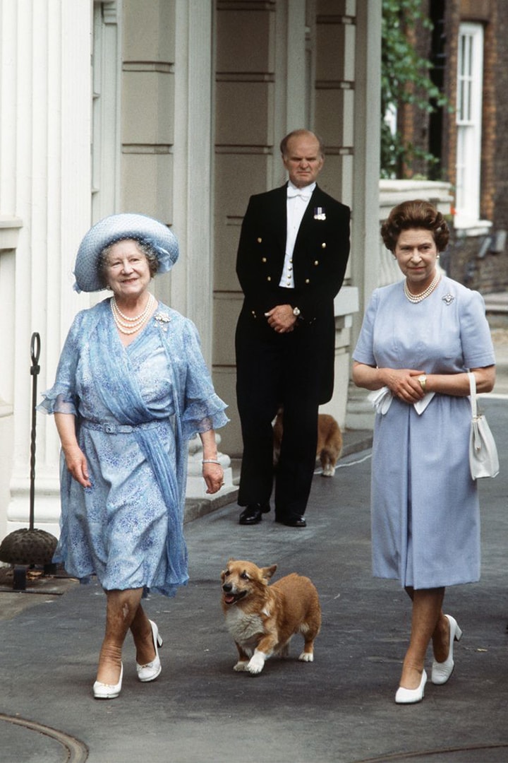 Queen Elizabeth's Last Corgi Has Died