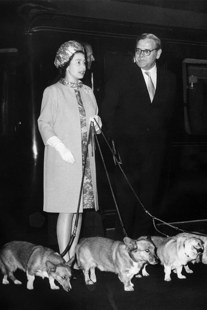 Queen Elizabeth's Last Corgi Has Died