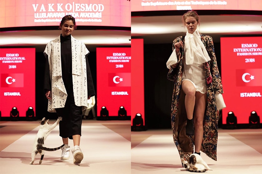 cat-walks-runway-istanbul-fashion-show