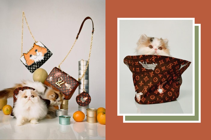 有貓出沒！Louis Vuitton  X Grace Coddington 超萌喵星人系列，身為貓奴實在忍不住！