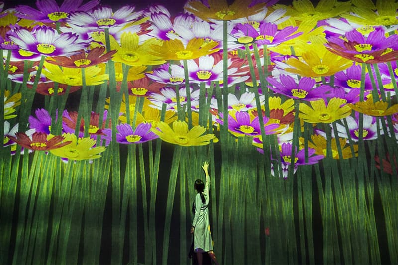 teamLab borderless christmas 2018 new feature