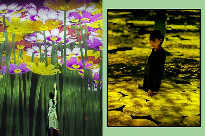馬上訂機票!TeamLab 東京藝術館推聖誕限定「冬季花卉」主題作品!