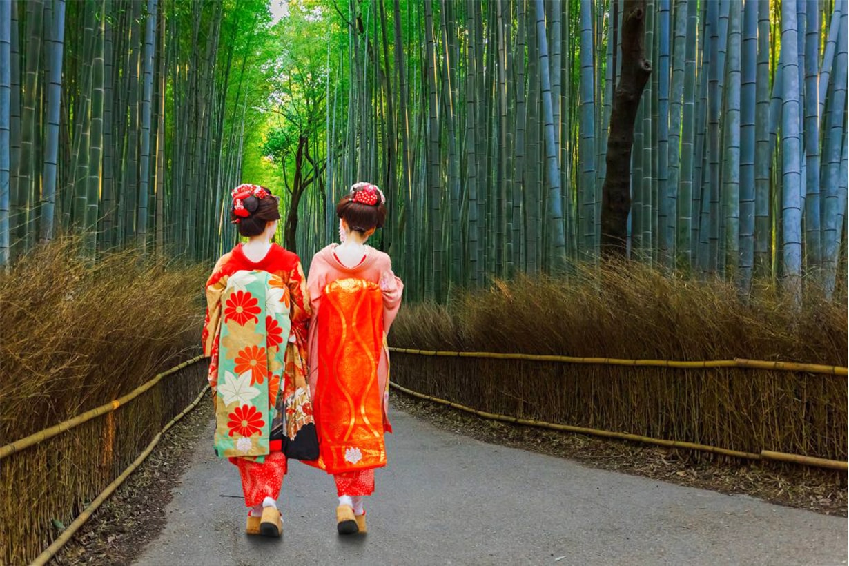 野竹林2