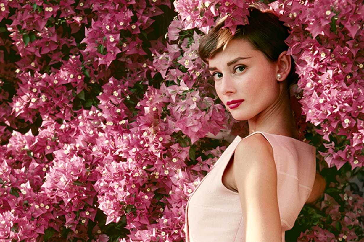 Audrey Hepburn Pink