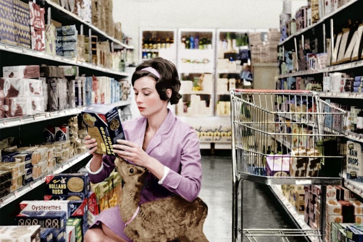 Audrey Hepburn Deer Supermarket
